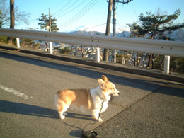 富士山と記念撮影！！